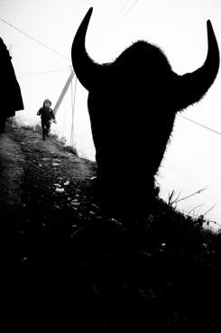 eric-kim-street-photography-sapa-0006247-1