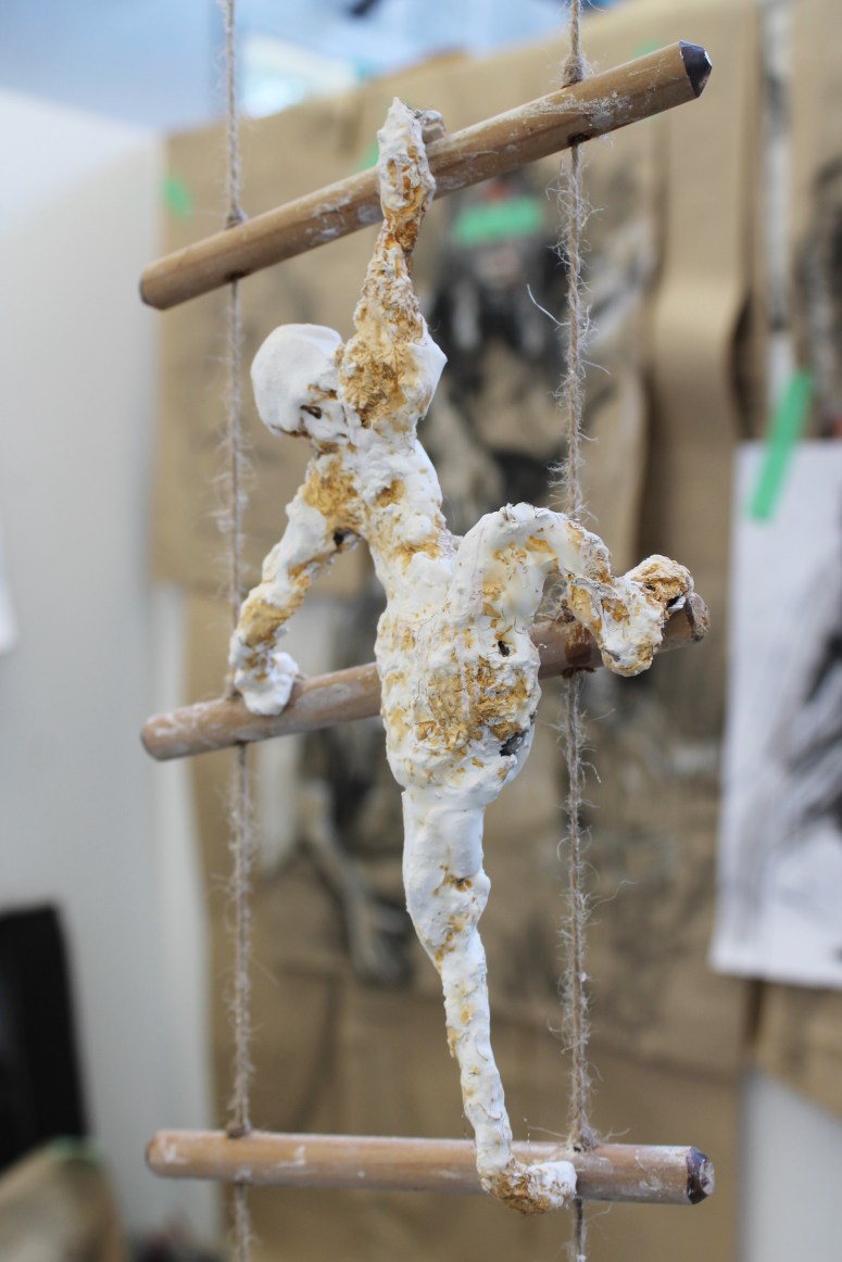 Climber by Rhys Johnson Photo Credit  - Lee Rapira 2017